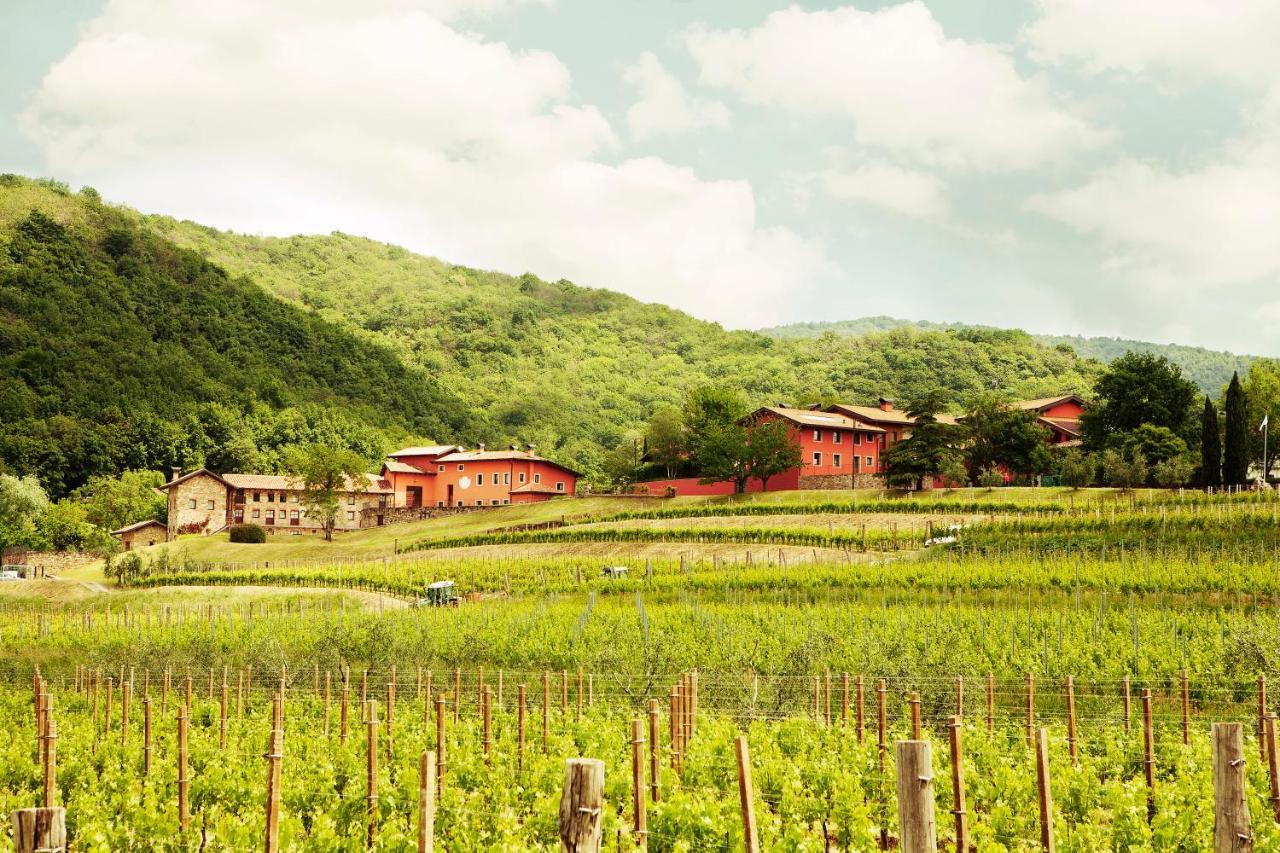 Agriturismo L'Uva E Le Stelle Faedis Exterior foto